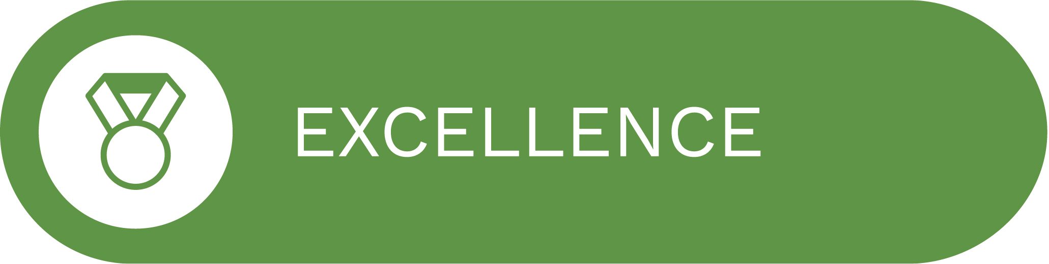 EDP Values - excellence