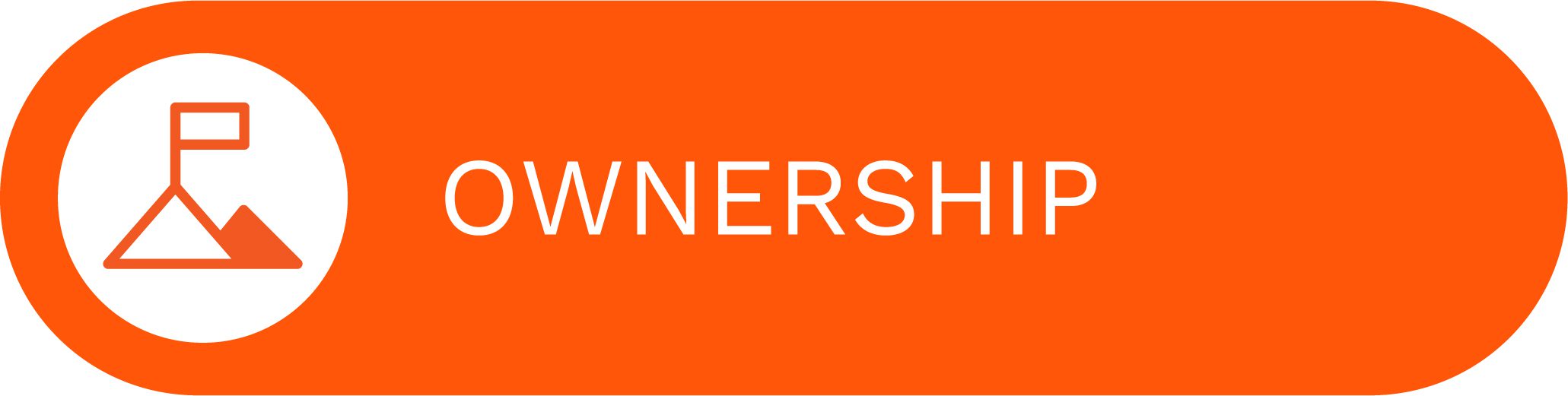 EDP Values - ownership